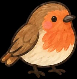 Robin